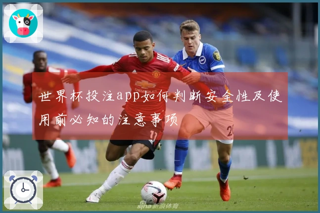 世界杯投注app如何判断安全性及使用前必知的注意事项